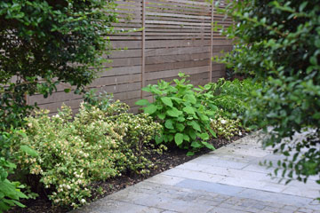 Front garden and drive in Ealing